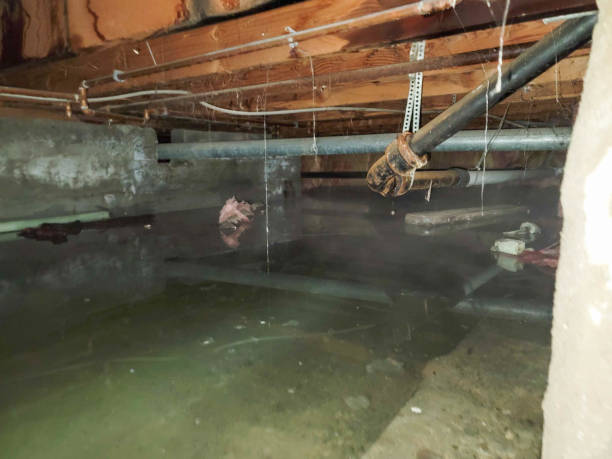 Best Commercial water damage restoration  in Santa Paula, CA