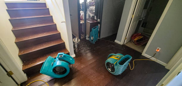 Best Residential water damage restoration  in Santa Paula, CA