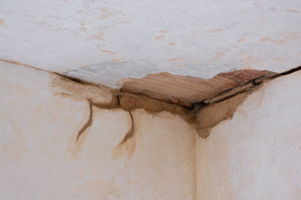 Best Water damage restoration company  in Santa Paula, CA