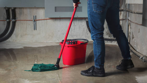 Best 24-hour water damage restoration  in Santa Paula, CA
