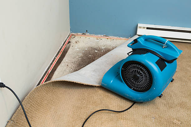 Best Ceiling water damage repair  in Santa Paula, CA